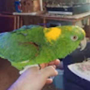 Meet your Posher, Jeff